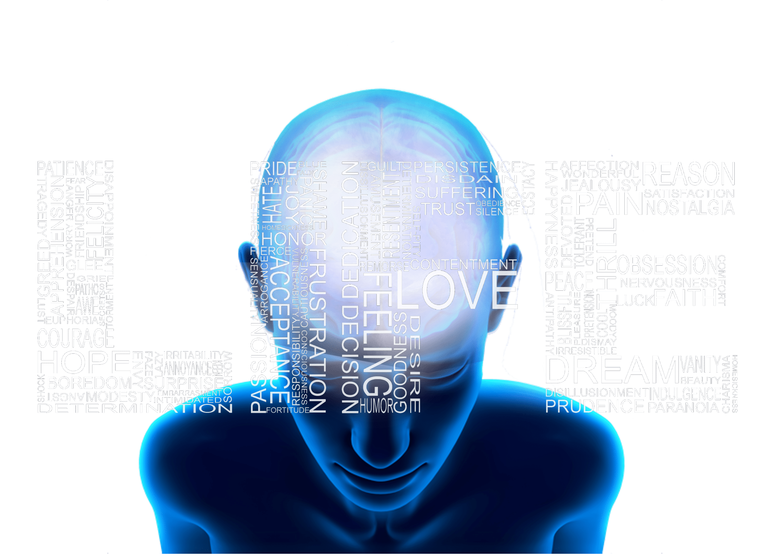 head words 2